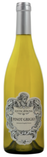 Wino Antica Vigna Pinot Grigio Delle Venezie DOC