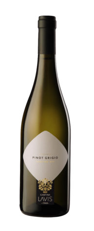 Wino Lavis Pinot Grigio BIO Trentino DOC