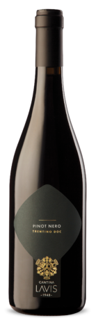 Wino Lavis Pinot Nero Trentino DOC