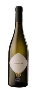 Wino Lavis Suvignon Blanc Trentino DOC