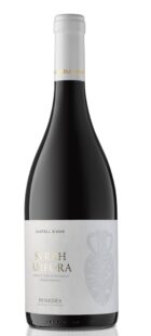 Wino 100% Syrah Amfora 0% SO2