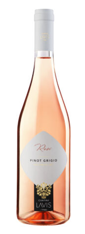 Wino Lavis Pinot Grigio Rose 0,75l